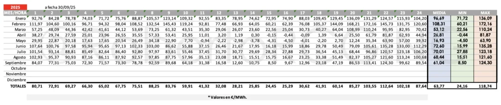 Precio promedio por horas y mes 2025